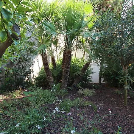 Superbe Maison De Cannes