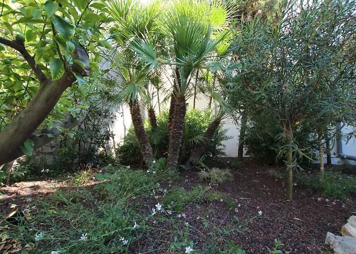 Superbe Maison De كان